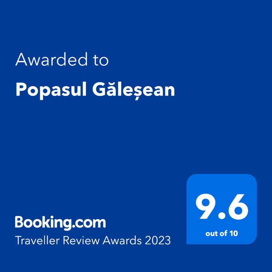 מלון Galesu Popasul Galesean מראה חיצוני תמונה